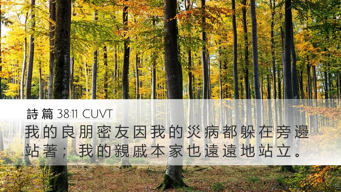 詩 篇 38:11 CUVT Bible Verse Image