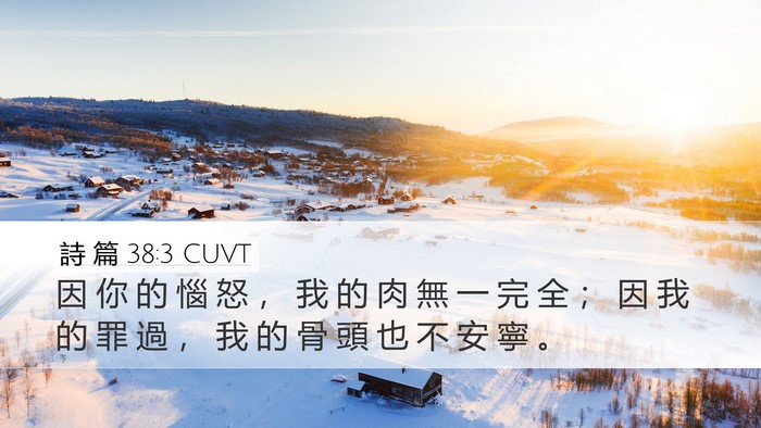 詩 篇 38:3 CUVT Bible Verse Image