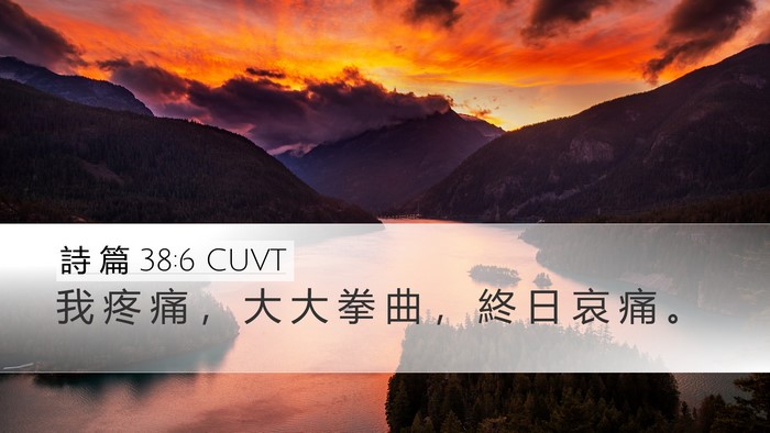 詩 篇 38:6 CUVT Desktop Wallpaper - 我 疼 痛 ， 大 大 拳 曲 ， 終 日 哀 - Desktop Bible Verse Wallpaper