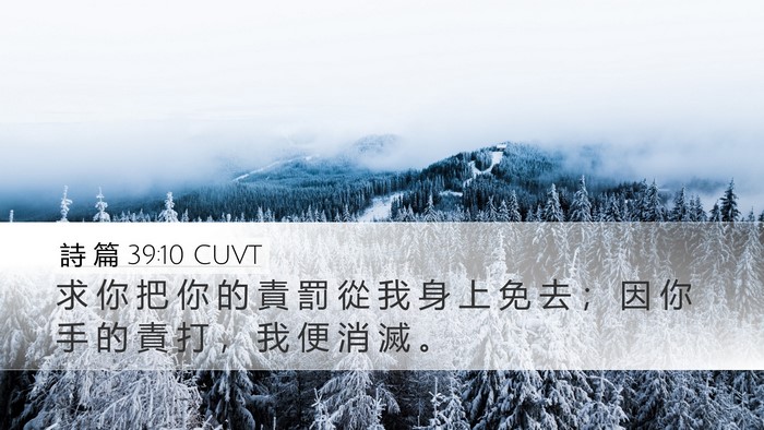 詩 篇 39:10 CUVT Desktop Wallpaper - 求 你 把 你 的 責 罰 從 我 身 上 免 - Desktop Bible Verse Wallpaper