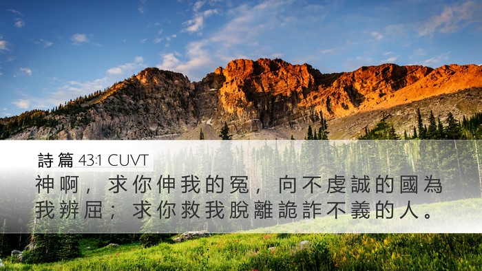 詩 篇 43:1 CUVT Bible Verse Image