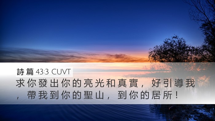 詩 篇 43:3 CUVT Bible Verse Image