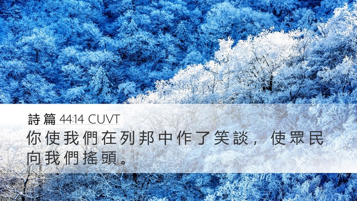 詩 篇 44:14 CUVT Bible Verse Image