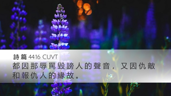 詩 篇 44:16 CUVT Bible Verse Image