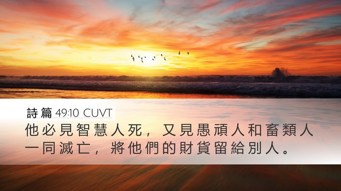 詩 篇 49:10 CUVT Bible Verse Image