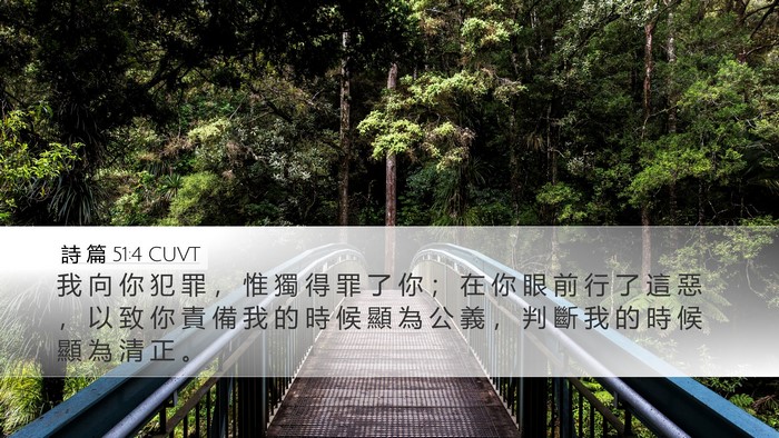 詩 篇 51:4 CUVT Bible Verse Image