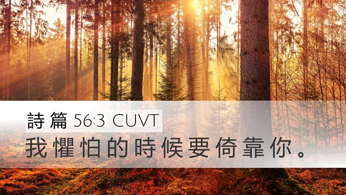 詩 篇 56:3 CUVT Bible Verse Image