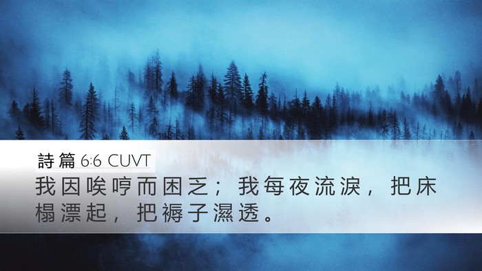 詩 篇 6:6 CUVT Bible Verse Image