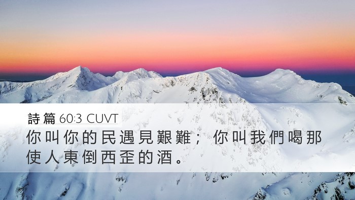 詩 篇 60:3 CUVT Bible Verse Image