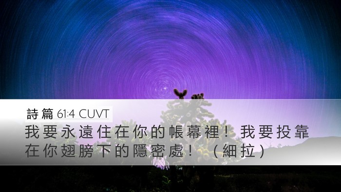 詩 篇 61:4 CUVT Bible Verse Image