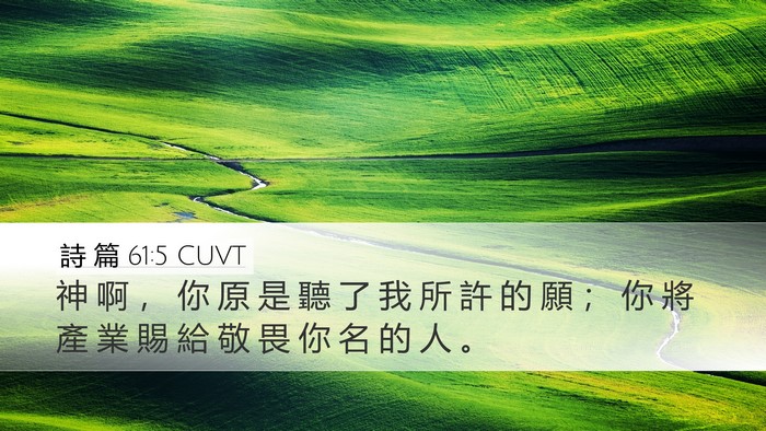 詩 篇 61:5 CUVT Desktop Wallpaper - 神 啊 ， 你 原 是 聽 了 我 所 許 的 - Desktop Bible Verse Wallpaper