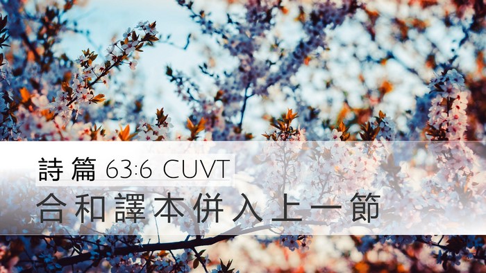 詩 篇 63:6 CUVT Bible Verse Image