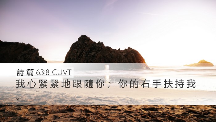 詩 篇 63:8 CUVT Bible Verse Image