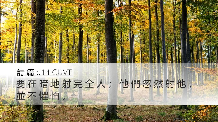 詩 篇 64:4 CUVT Bible Verse Image