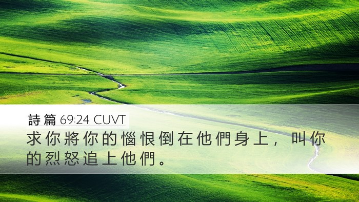 詩 篇 69:24 CUVT Desktop Wallpaper - 求 你 將 你 的 惱 恨 倒 在 他 們 身 - Desktop Bible Verse Wallpaper