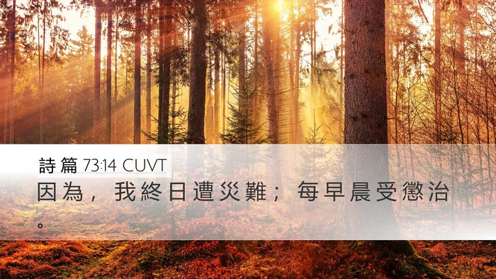詩 篇 73:14 CUVT Desktop Wallpaper - 因 為 ， 我 終 日 遭 災 難 ； 每 早 - Desktop Bible Verse Wallpaper