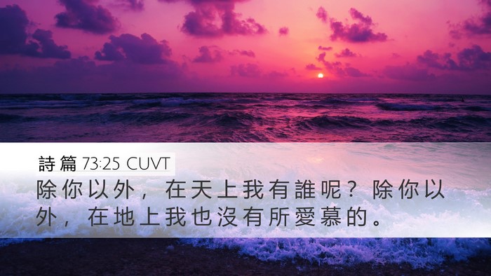 詩 篇 73:25 CUVT Bible Verse Image