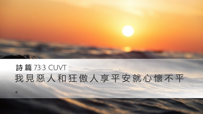 詩 篇 73:3 CUVT Bible Verse Image