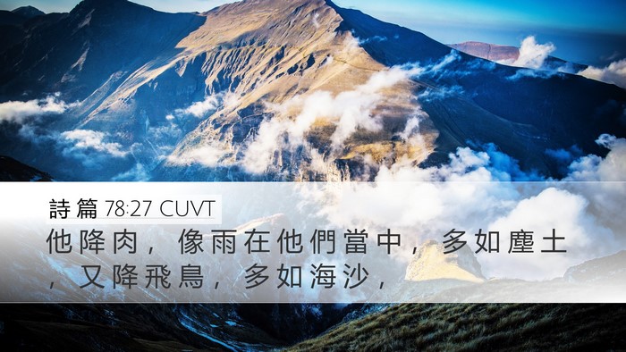 詩 篇 78:27 CUVT Desktop Wallpaper - 他 降 肉 ， 像 雨 在 他 們 當 中 ， - Desktop Bible Verse Wallpaper