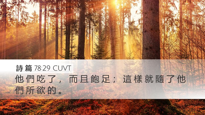 詩 篇 78:29 CUVT Desktop Wallpaper - 他 們 吃 了 ， 而 且 飽 足 ； 這 樣 - Desktop Bible Verse Wallpaper