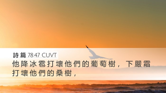 詩 篇 78:47 CUVT Desktop Wallpaper - 他 降 冰 雹 打 壞 他 們 的 葡 萄 樹 - Desktop Bible Verse Wallpaper