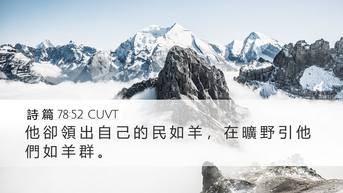 詩 篇 78:52 CUVT Bible Verse Image