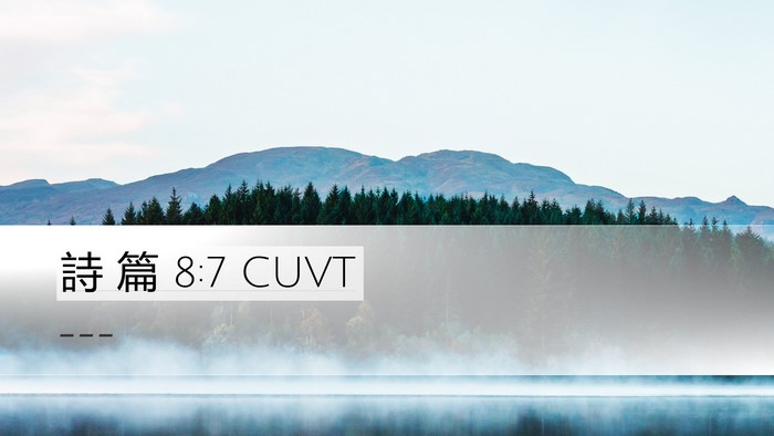 詩 篇 8:7 CUVT Desktop Wallpaper -  - Desktop Bible Verse Wallpaper