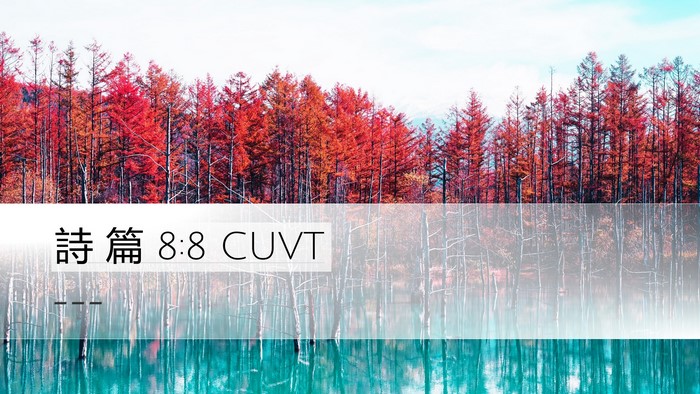 詩 篇 8:8 CUVT Desktop Wallpaper -  - Desktop Bible Verse Wallpaper