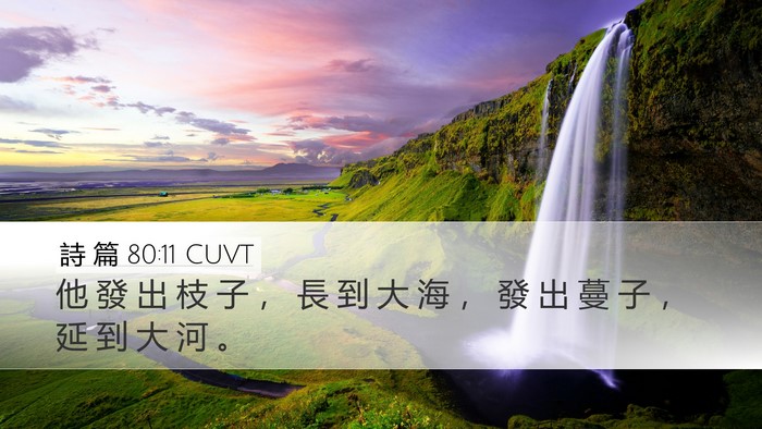 詩 篇 80:11 CUVT Bible Verse Image