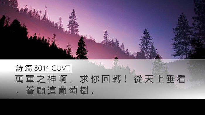 詩 篇 80:14 CUVT Bible Verse Image