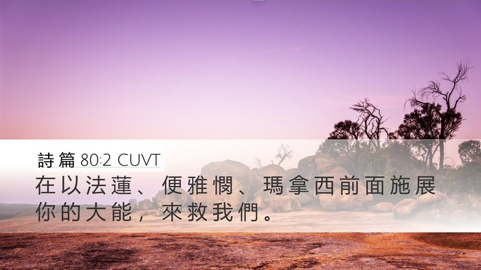 詩 篇 80:2 CUVT Desktop Wallpaper - 在 以 法 蓮 、 便 雅 憫 、 瑪 拿 西 - Desktop Bible Verse Wallpaper