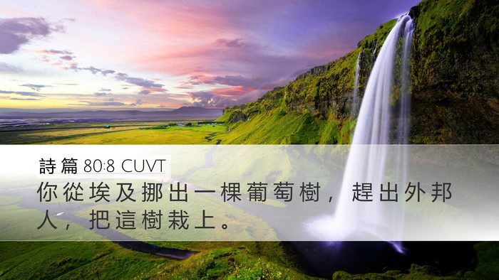 詩 篇 80:8 CUVT Bible Verse Image