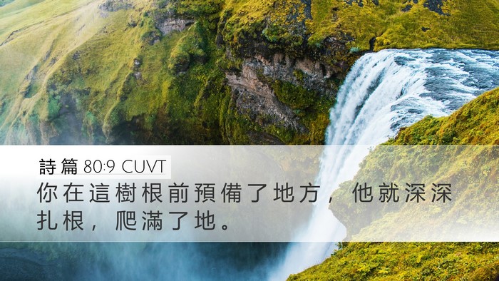 詩 篇 80:9 CUVT Bible Verse Image