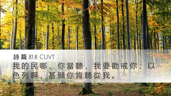 詩 篇 81:8 CUVT Bible Verse Image