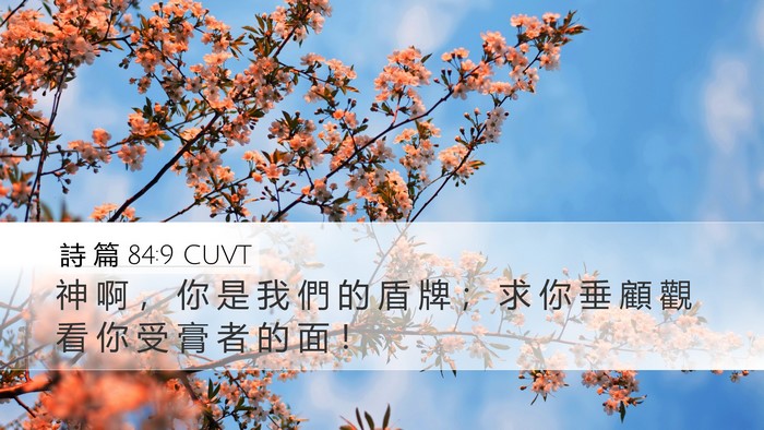 詩 篇 84:9 CUVT Bible Verse Image