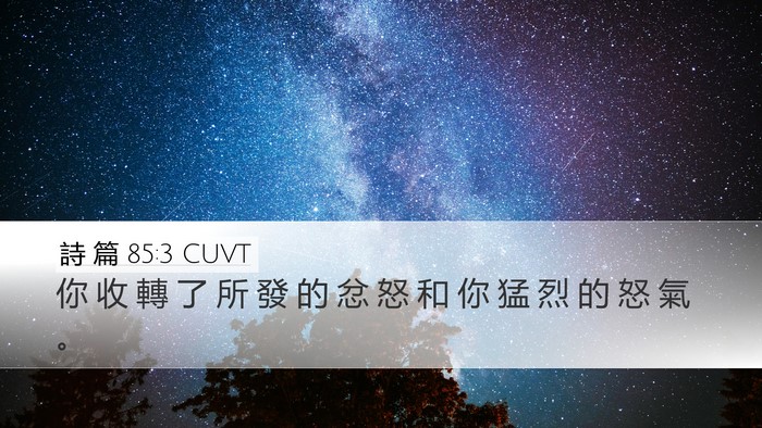 詩 篇 85:3 CUVT Bible Verse Image