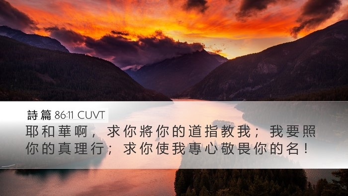 詩 篇 86:11 CUVT Bible Verse Image
