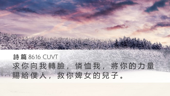 詩 篇 86:16 CUVT Bible Verse Image