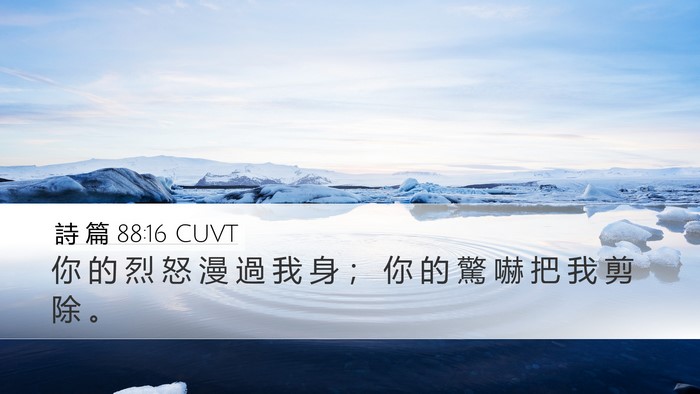 詩 篇 88:16 CUVT Bible Verse Image