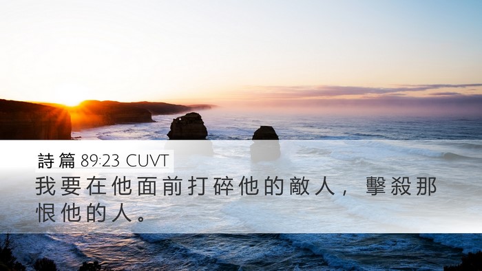 詩 篇 89:23 CUVT Desktop Wallpaper - 我 要 在 他 面 前 打 碎 他 的 敵 人 - Desktop Bible Verse Wallpaper