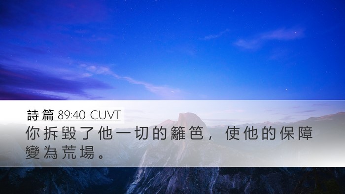 詩 篇 89:40 CUVT Desktop Wallpaper - 你 拆 毀 了 他 一 切 的 籬 笆 ， 使 - Desktop Bible Verse Wallpaper
