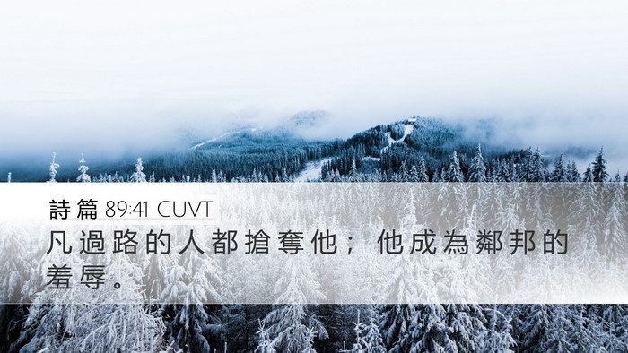 詩 篇 89:41 CUVT Desktop Wallpaper - 凡 過 路 的 人 都 搶 奪 他 ； 他 成 - Desktop Bible Verse Wallpaper
