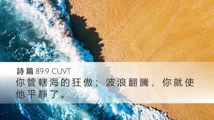 詩 篇 89:9 CUVT Desktop Wallpaper - 你 管 轄 海 的 狂 傲 ； 波 浪 翻 騰 - Desktop Bible Verse Wallpaper