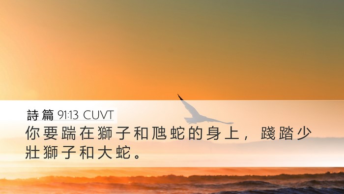 詩 篇 91:13 CUVT Desktop Wallpaper - 你 要 踹 在 獅 子 和 虺 蛇 的 身 上 - Desktop Bible Verse Wallpaper