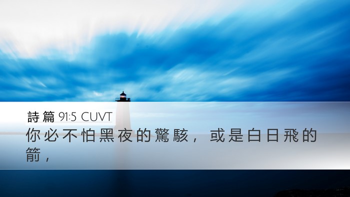 詩 篇 91:5 CUVT Desktop Wallpaper - 你 必 不 怕 黑 夜 的 驚 駭 ， 或 是 - Desktop Bible Verse Wallpaper