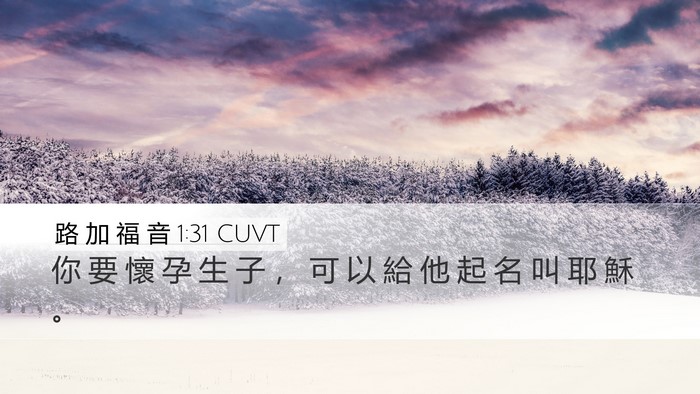 路 加 福 音 1:31 CUVT Bible Verse Image