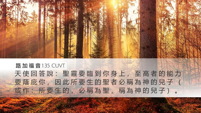 路 加 福 音 1:35 CUVT Bible Verse Image