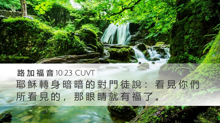 路 加 福 音 10:23 CUVT Bible Verse Image