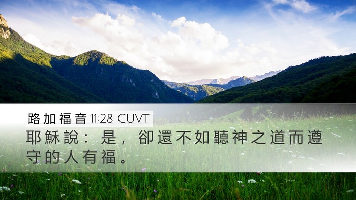 路 加 福 音 11:28 CUVT Bible Verse Image