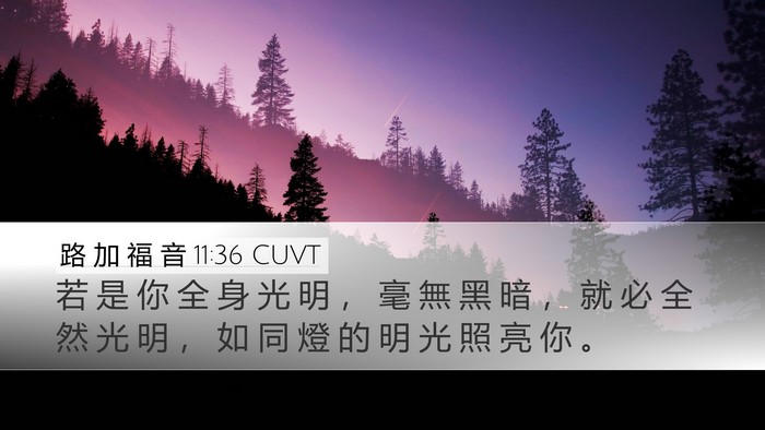 路 加 福 音 11:36 CUVT Desktop Wallpaper - 若 是 你 全 身 光 明 ， 毫 無 黑 暗 - Desktop Bible Verse Wallpaper